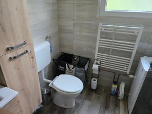 a bathroom with a toilet and a trash can at Apartma TI & JAZ in Vrh +10 photos
