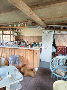a kitchen with a counter and a refrigerator at Glampingbus in Kärdla