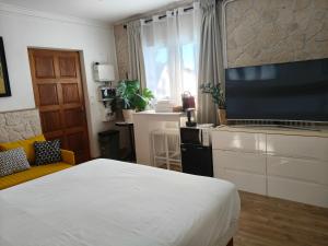 a bedroom with a bed and a flat screen tv at Studio with private pool in Villefranche-sur-Mer
