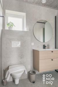 a bathroom with a toilet and a sink and a mirror at The Red Deer Lodge in Tällberg +33 photos