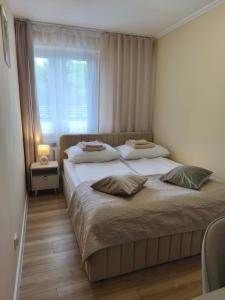 a bedroom with two beds and a window at Apartament Kaszmirowy in Gorlice