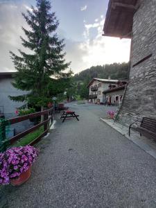a picnic table and a pine tree on a street at La gerbe d'or in Saint Nicolas +4 photos