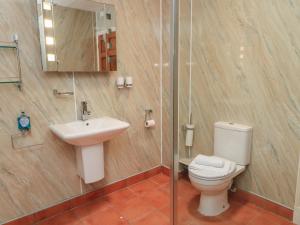 a bathroom with a toilet and a sink and a shower at Meadow Lodge in Cirencester +19 photos