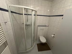 a bathroom with a shower and a toilet at Max and Moritz Top 9 in Liebenau