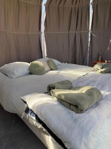 two beds with pillows on them in a room at la bulle d'Astrée in Le Tronchet
