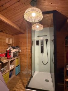 a bathroom with a shower with a phone in it at la bulle d'Astrée in Le Tronchet +9 photos