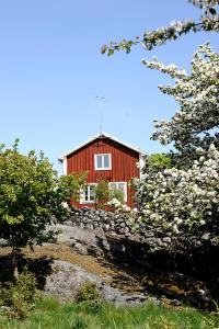 a red house on top of a hill with flowers at Tjärö Hotell & Vandrarhem in Trensum