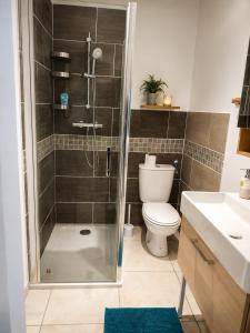 a bathroom with a shower and a toilet at Studio Terrasse - Parking gratuit in Orléans