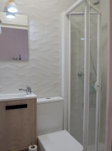 a bathroom with a shower and a toilet and a sink at Casa Rural Lutia in Andaluz +52 photos