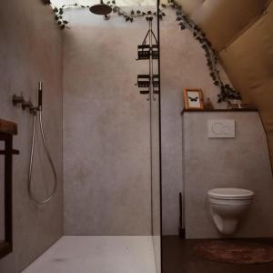 a bathroom with a shower and a toilet at Domein de Koekoeksvlooghe in Lo-Reninge