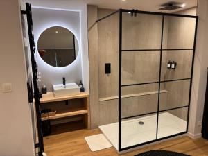 a bathroom with a shower with a sink and a mirror at Maison des W in Jalhay +17 photos