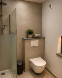 a bathroom with a toilet and a plant on a shelf at Escale Tout Confort Maison entière Parking gratuit Proche Aéroport Charleroi in Charleroi