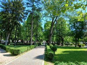 a path in a park with trees and grass at Chimera 37 in Avezzano