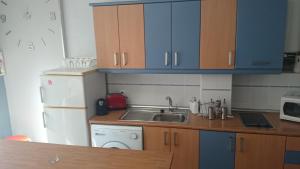Kuchyň nebo kuchyňský kout v ubytování Apartamento Cigüeña