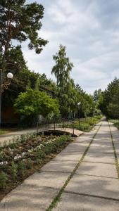 a path in a park with a bridge and flowers at Золотые пески in Bosteri