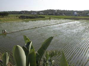 Gallery image of Beras Manor Kenting in Hengchun +30 photos
