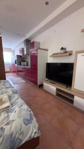 a large living room with a tv and a kitchen at Apartma Rožman in Radenci