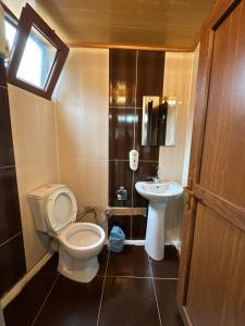 a bathroom with a toilet and a sink at Abduloğlu Butik Otel in Ayder Yaylasi