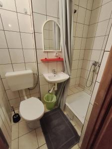 a small bathroom with a toilet and a sink at Willa Zwinka in Szczawnica