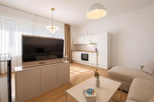 a living room with a large flat screen tv at Altstadt City Loft in Würzburg