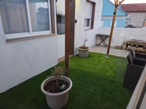 two potted trees sitting on a balcony with grass at O Alpendre in Bueu