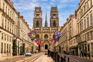 a street with flags in front of a cathedral at Studio Terrasse - Parking gratuit in Orléans +5 photos