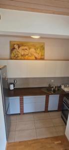 a kitchen with a counter and a sink at Przystanek Bieszczad in Lutowiska