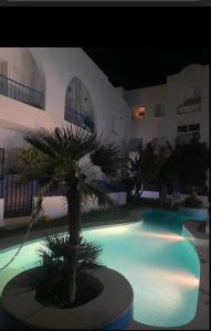 a palm tree sitting next to a swimming pool at night at Dar el Bahri in Beni Khiar