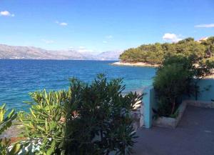 a view of a large body of water at Apartments Sova By the Sea in Postira