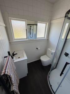 a bathroom with a shower and a toilet and a sink at Green Views - Burkes Pass in Burkes Pass