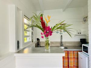 a vase of flowers on a counter in a kitchen at Papaye et coconut in Anse-Bertrand +26 photos