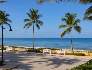 a row of benches on the beach with palm trees at Boutique condo w oceanfront & concierge in Palm Beach