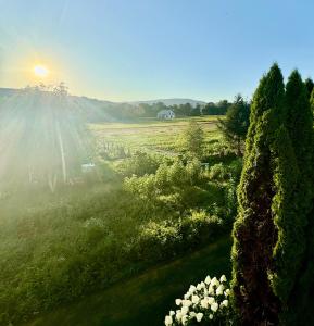 a view of a field with the sun shining through trees at Na Snozie in Milówka +20 photos