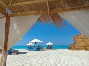 a group of people sitting under umbrellas on a beach at SEACODE Hotel in El Alamein