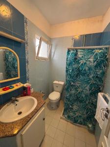 a bathroom with a shower and a sink and a toilet at Le bienvenu in Sousse