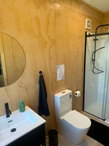 a bathroom with a toilet and a sink and a shower at Pirongia Views Studio in Pirongia