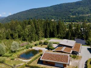 an aerial view of a house with a pond and trees at See Chalet 50 in Lake Pressegg