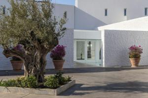a tree in a courtyard in front of a building at Patmos Aktis, a Luxury Collection Resort & Spa, Greece in Patmos