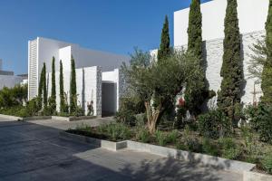 a row of trees in front of a building at Patmos Aktis, a Luxury Collection Resort & Spa, Greece in Patmos