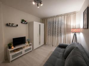 a living room with a couch and a television at Casa de Flores in Knjazevac.