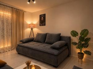 a living room with a couch and a plant at Casa de Flores in Knjazevac.
