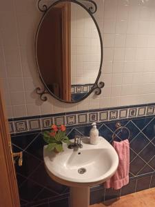 a bathroom with a sink and a mirror at La Ribera del Río in Trefacio +12 photos