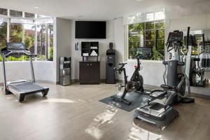 a gym with cardio equipment in a room with windows at City Express By Marriott Findlay in Findlay
