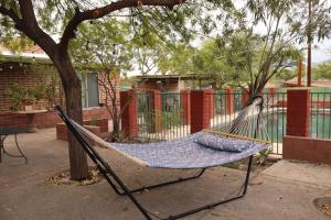 a hammock hanging from a tree in a yard at Dodge Residence in Tucson