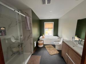 a bathroom with a shower and a toilet and a sink at Le Quai 163 in La Macaza +36 photos