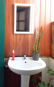 a bathroom with a white sink with a potted plant at City Lavish in Nuwara Eliya