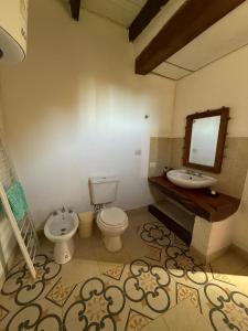a bathroom with a sink and a toilet and a mirror at Ashpa apart in Cafayate