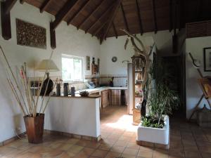 Kuhinja oz. manjša kuhinja v nastanitvi villa Colibri