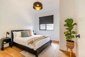 a bedroom with a bed and a potted plant at Driftaway, Albany in Albany