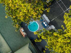 an overhead view of a swimming pool with trees at The Iceberg Tahoe in South Lake Tahoe